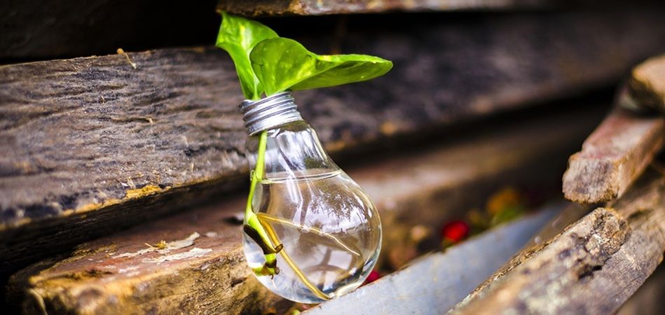 Driving Industry Progress Towards Net Zero